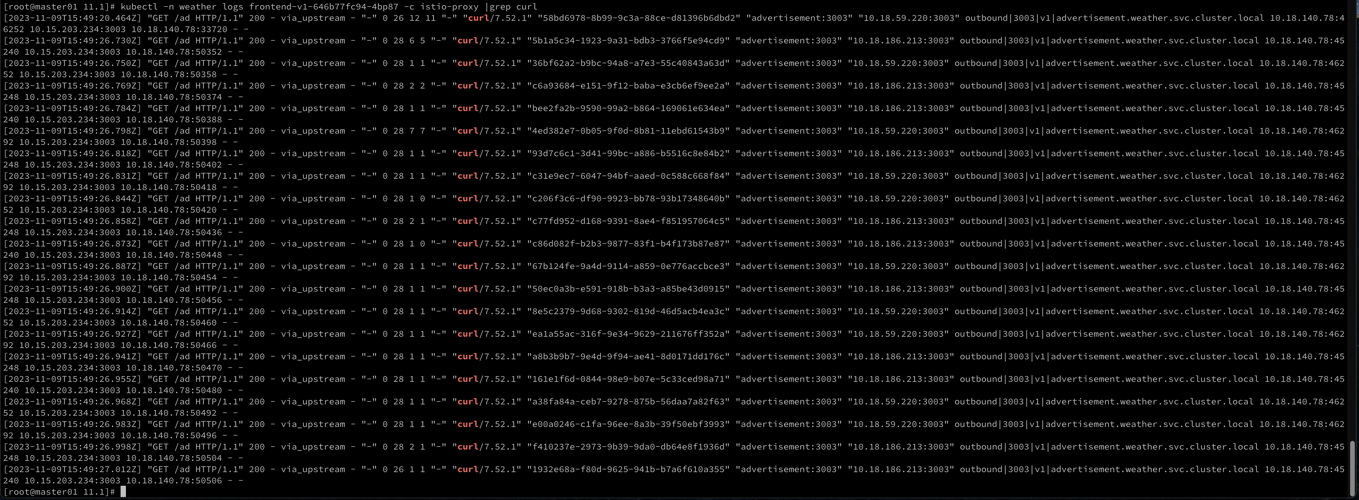 FileSharing226